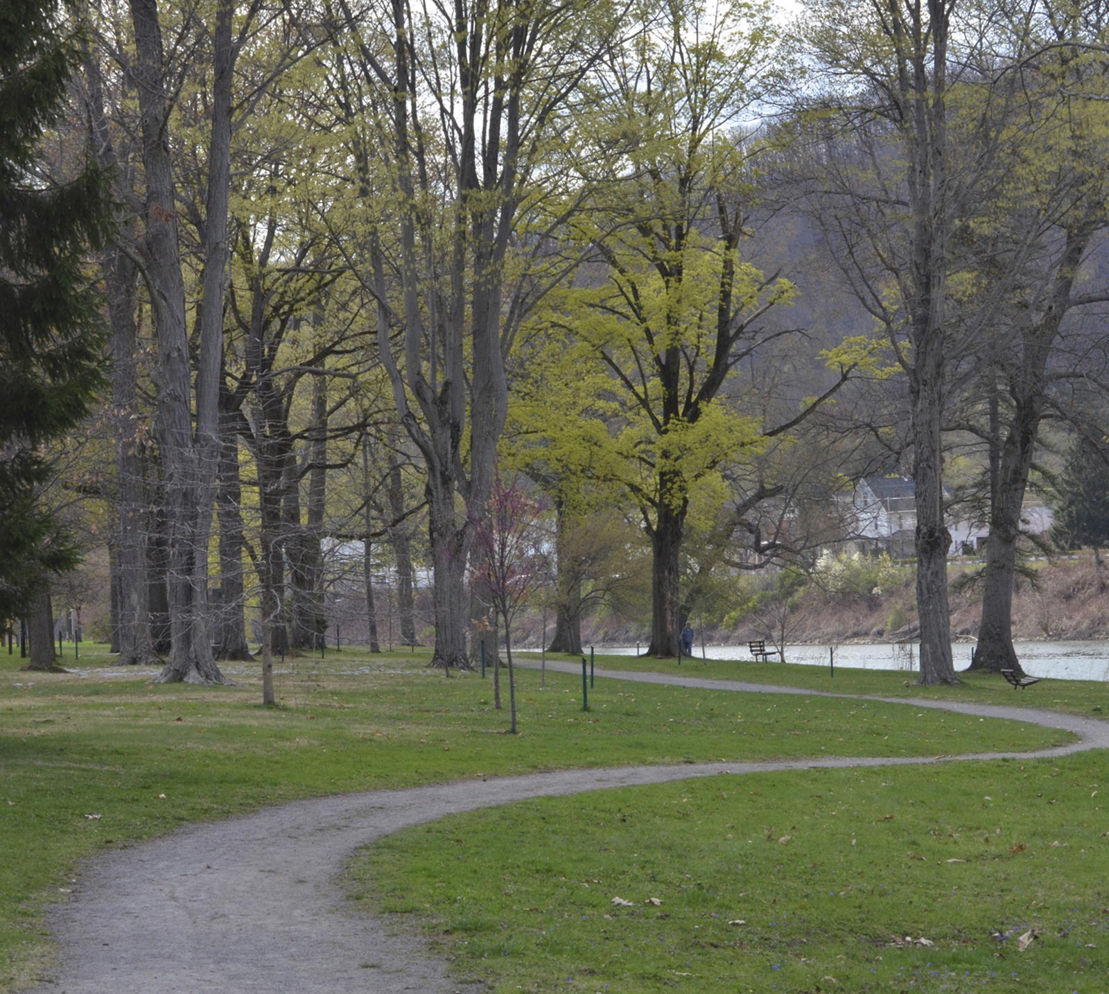 Bids are awarded for Crescent Park Project News, Sports, Jobs Times